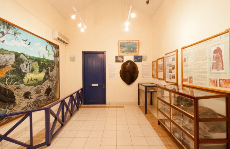 Explorer les Trésors de l’île Rodrigues : Le Musée et la Réserve François Leguat