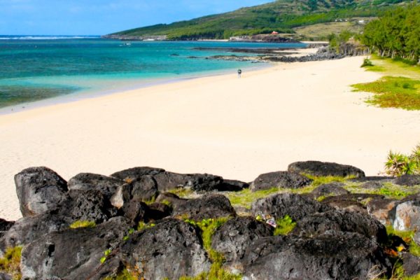 Révélations sur les Merveilles Géologiques et Écologiques de l’Île Rodrigues