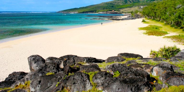 Révélations sur les Merveilles Géologiques et Écologiques de l’Île Rodrigues