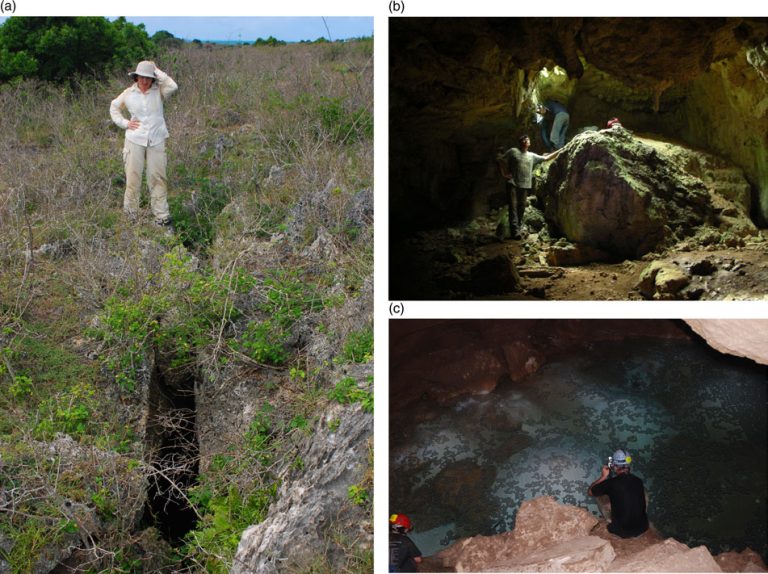 Caverne Gastonia : Où les Secrets de la Nature Attirent