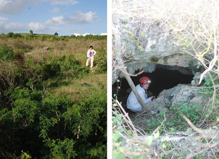 Caverne Vosmaeri et de son Nom Unique