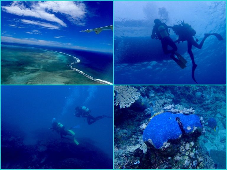 La Plongée Sous-Marine à l’île Rodrigues : Un Paradis pour les Plongeurs