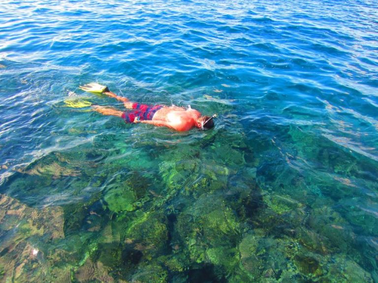 Explorer les Merveilles Sous-marines : Snorkeling sur l’Île Rodrigues
