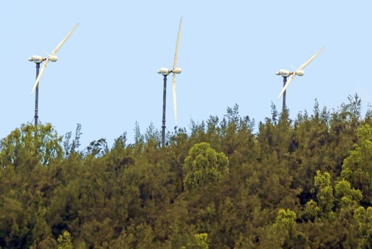 Rodrigues : un avenir durable en pionnier de l’énergie renouvelable